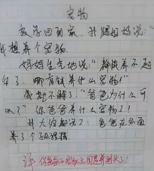 吃瓜作文400字