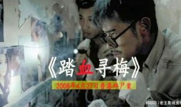 香港碎尸案爆料视频,视频爆料揭示惊人真相