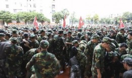 最新军训爆料新闻报道稿,揭秘军营生活与训练细节