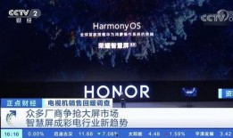 央视官方爆料视频,官方爆料视频背后的故事