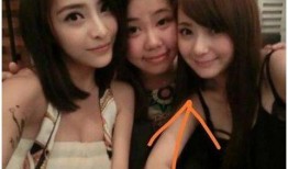 大春三嫂爆料视频全集,揭秘惊人内幕