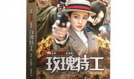 抗日电视连续剧爆料视频,揭秘抗战时期真实历史与影视作品的差异