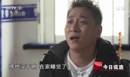 乡村警察故事在线观看,守护乡野，正义之光闪耀