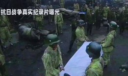 阿维塔最新爆料视频播放