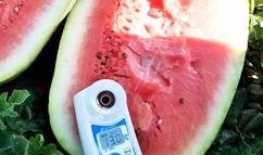 网红最新的瓜爆料,娱乐圈最新劲爆事件大揭秘！