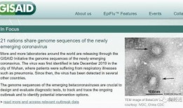 全球病毒最新爆料新闻,多国疫情动态与变异病毒追踪