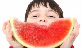 娱乐吃瓜君正方形,正方形背后的秘密与魅力