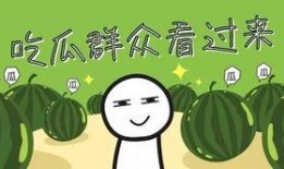 全家带凳子吃瓜免费全集,一场欢乐的夏日盛宴