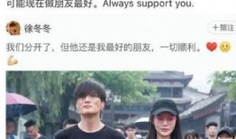 天涯爆料尹子维视频在线观看,尹子维视频在线观看，揭秘幕后真相