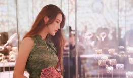 成都名媛爆料视频,揭秘上流社会背后的奢华与真相