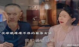 上门女婿全集在线观看,逆袭人生，爱情与奋斗的完美融合