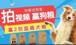 狗粮真实爆料视频大全