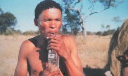 非洲系列电影在线观看,跟随电影镜头穿越原始大陆