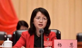 杨慧爆料最新消息,揭秘娱乐圈惊人内幕！