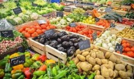 深圳菜市场爆料事件视频,视频揭露惊人内幕，食品安全引关注