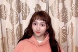 鹿晗反面爆料视频大全,背后真相与争议视频大盘点