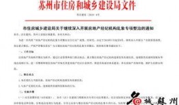 苏州中介最新爆料,揭秘房产市场惊人内幕！