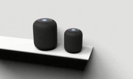 苹果最新爆料真假图片,真假图片对比，真相即将揭晓！