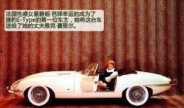 最新玛莎爆料事件真相揭秘,真相大白，揭秘背后惊人内幕