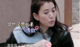 袁咏仪爆料年轻女星视频,娱乐圈幕后真相曝光