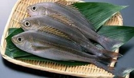 新闻爆料海鱼事件真相揭秘,揭开神秘面纱背后的真相