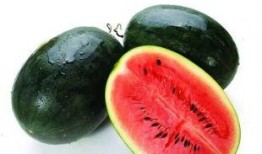 吃茄瓜的网红叫什么名字,网红“吃茄瓜达人”带你领略美食新境界