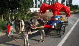 爆料二驴卖车视频播放,揭秘网红带货新趋势