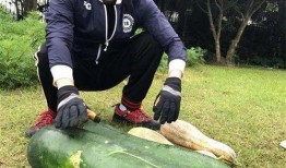 山南以北的瓜最新爆料