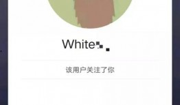 热门爆料中视频入口,视频入口背后的秘密与趋势