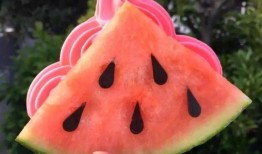 濮阳网红吃瓜,揭秘网络红人的幕后故事