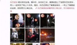 粉丝爆料爱罗事件视频完整版,粉丝爆料视频完整版深度解析