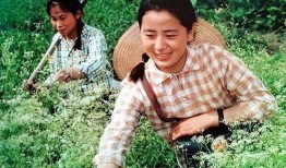 农民伯伯下乡在线观看,体验农村生活，感受乡土情怀