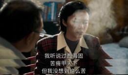 木偶原神舅舅爆料视频,木偶背后的秘密与惊喜