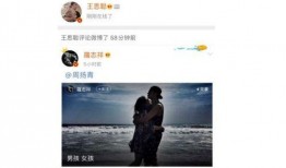 娱乐圈吃瓜感慨语录,揭秘明星背后的故事与心酸