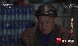 乡村警察故事在线观看,守护乡野，正义之光闪耀