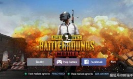 刺激战场日韩服最新爆料,神秘新内容即将上线，玩家期待值飙升！