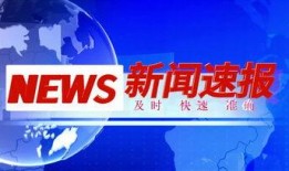新闻爆料 视频素材下载,视频素材下载背后的真相
