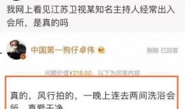 卓伟爆料的人是谁啊视频,揭秘神秘人物身份之谜