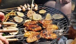 美食烧烤爆料视频大全下载,一场视觉与味蕾的盛宴