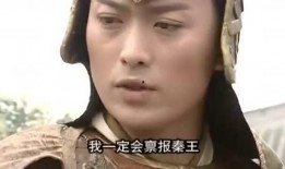 大表姐娱乐爆料,娱乐圈最新动态大揭秘！