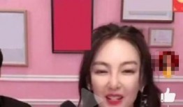 辛巴爆料徐婕视频播放全集,全程揭秘事件始末