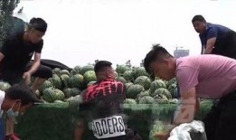 甘谷网红吃瓜事件视频,一场网络狂欢背后的真相揭秘