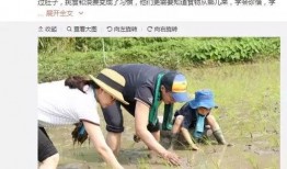 台媒爆料恩爱夫妻视频,甜蜜瞬间引网友热议