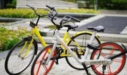 单车dc爆料视频是哪一场比赛,揭秘某场精彩赛事幕后精彩瞬间