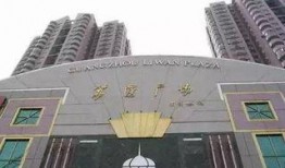 荔湾广场爆料视频播放大全,揭秘广场风云录