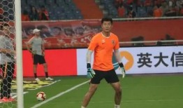 武汉外援爆料新闻视频下载,揭秘背后真相