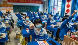 河北博物院爆料案件最新,揭秘背后惊心动魄的真相