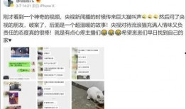 易经网友爆料新闻报道,最新新闻报道揭秘