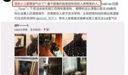 阿超粉丝爆料视频,揭秘明星幕后故事