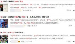 韩国竞选者爆料视频大全,揭秘政坛风云录